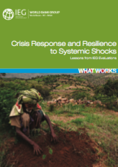 Crisis Response and Resilience to Systemic Shocks